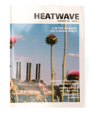 Heatwave Issue 1